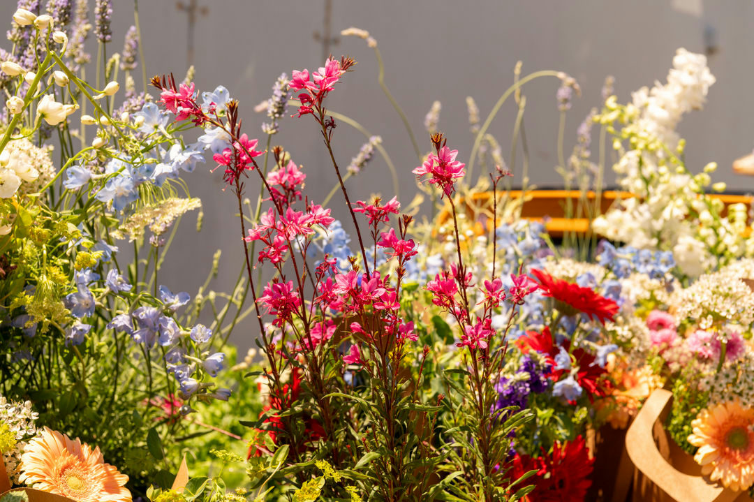 Flyer for Design Dialogue Series - Florals at Marram