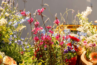 Design Dialogue Series - Florals in Montauk