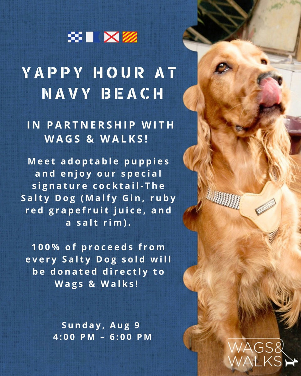 Flyer for Yappy Hour with Wags & Walks at Navy Beach
