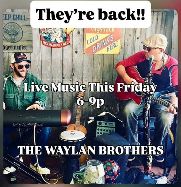 Flyer for The Waylan Brothers at Naturally Good
