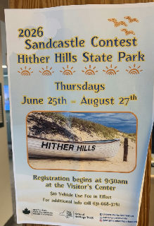 Sandcastle Contest in Montauk