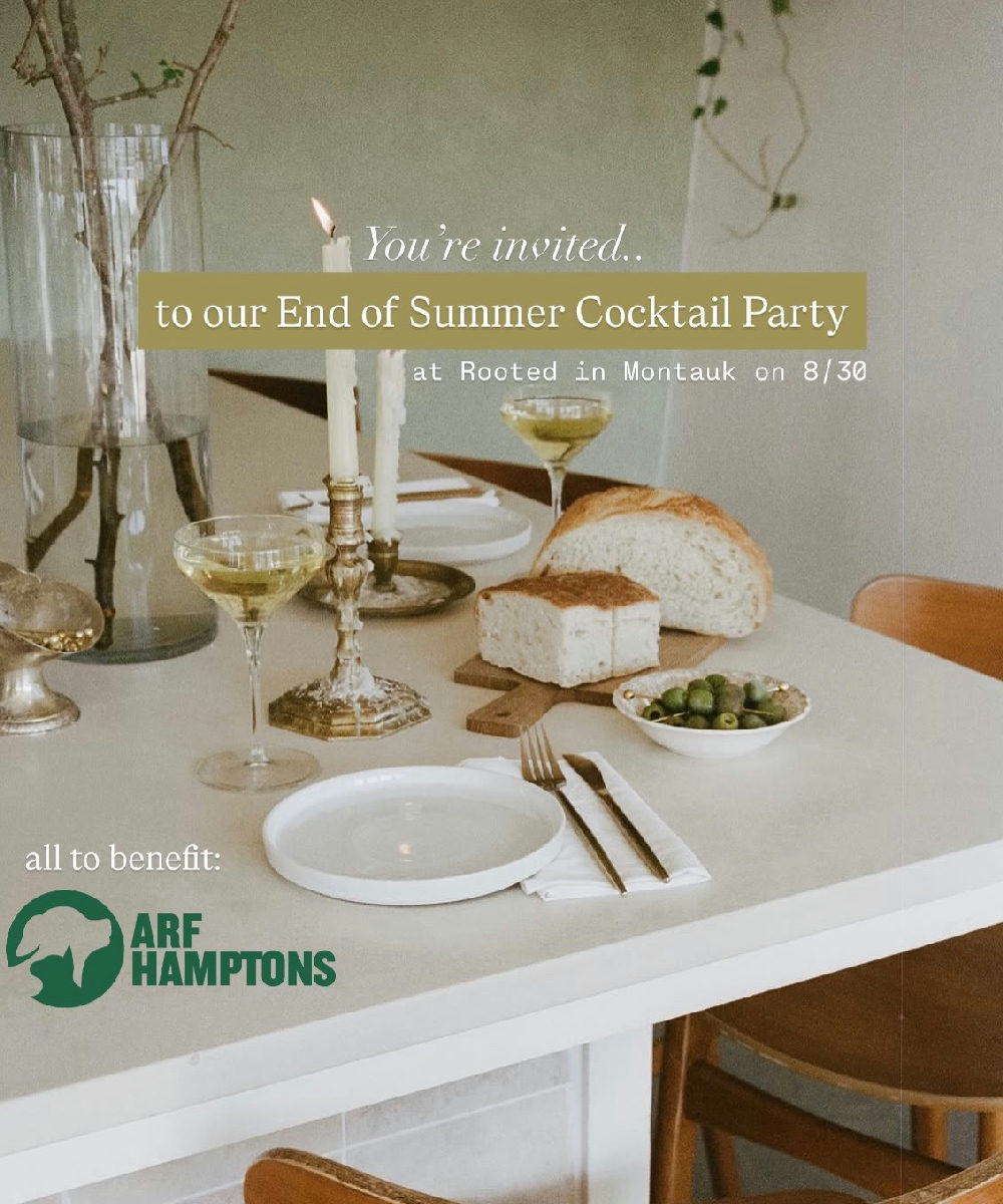 Flyer for Hamptons Hour End of Summer Cocktail Party at Rooted