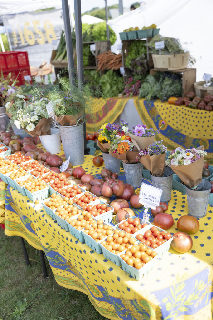 Montauk Farmers Market on the Green in Montauk